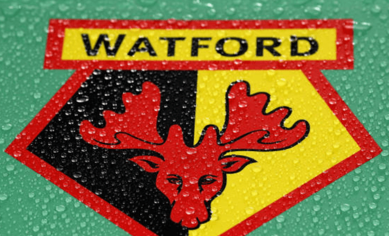 Watford brani Louzu od Premier League klubova