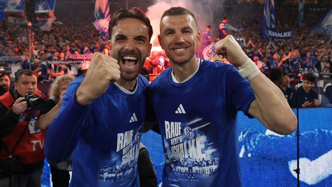 Džeko u 40. godini vodi Schalke u povratak u Bundesligu